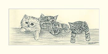 Карандашные котята II