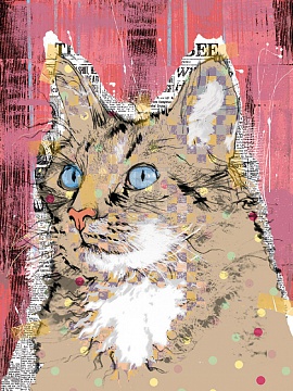 Poppet Cat IV