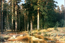Корабельная роща