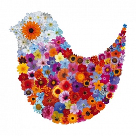 Bird in Bloom