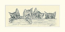 Карандашные котята I