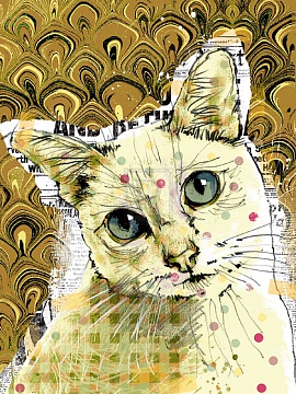 Poppet Cat III