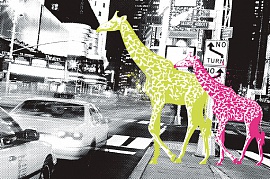 Urban Jungle