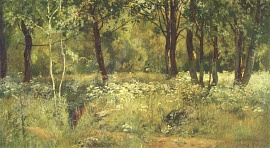 Лесная полянка