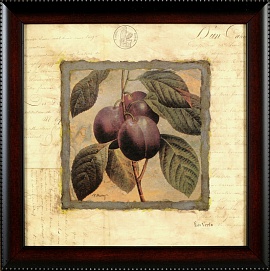 Plum