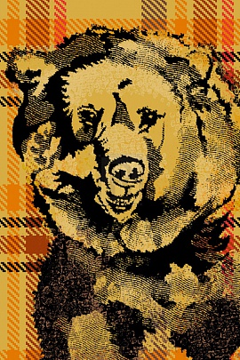  Plaid Bear