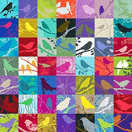  Birdland