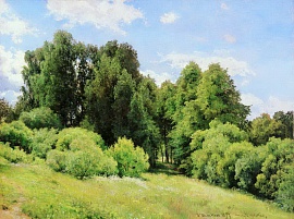 Лесная поляна