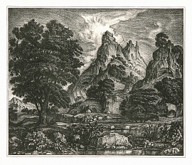 Степной кустарник