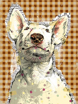 Poppet Dog II