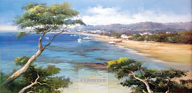 Морские корни