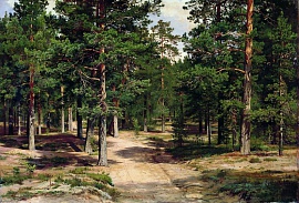 Сестрорецкий бор