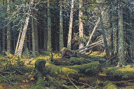  Бурелом