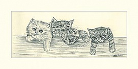 Карандашные котята II