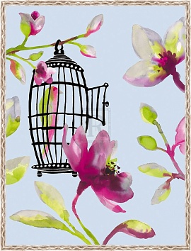  Bird Cage II