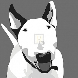 Bull Terrier